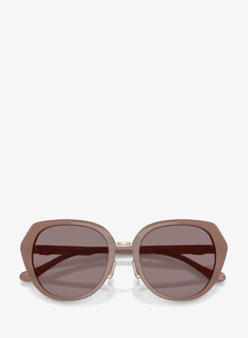 Coach  Irregular Sunglasses for Women | Best Price UAE