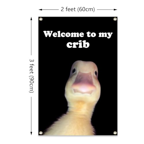 ILINJAU Welcome To My Crib Flag Funny Tapestry 2x3Ft Indoor Outdoor Wall Art Tapestry for Bedroom Teens Room Decoration Living Room Bedroom - Image 2