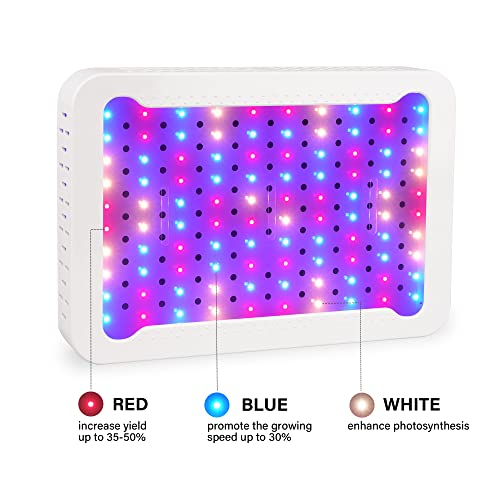 Beelux 1000w LED Grow Light for Indoor Plants Full Spectrum, Upgrade Dual Chips and Dual Switch Plant Grow Lights for Seed Starting Veg and Flower Greenhouse (Actual Power 100W=1000W HPS) - Image 3