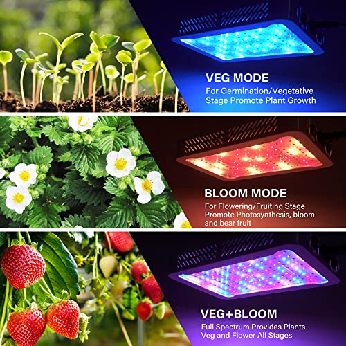 Beelux 1000w LED Grow Light for Indoor Plants Full Spectrum, Upgrade Dual Chips and Dual Switch Plant Grow Lights for Seed Starting Veg and Flower Greenhouse (Actual Power 100W=1000W HPS) - Image 2