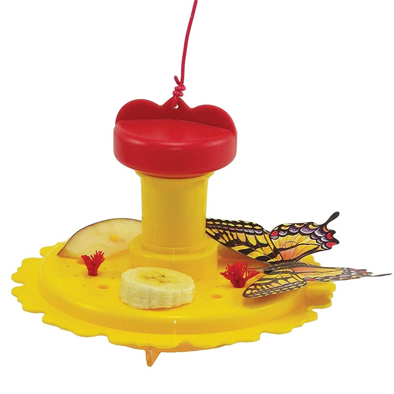 Songbird Essentials SE78215 Butterfly FeederNectar Combo Set of 1