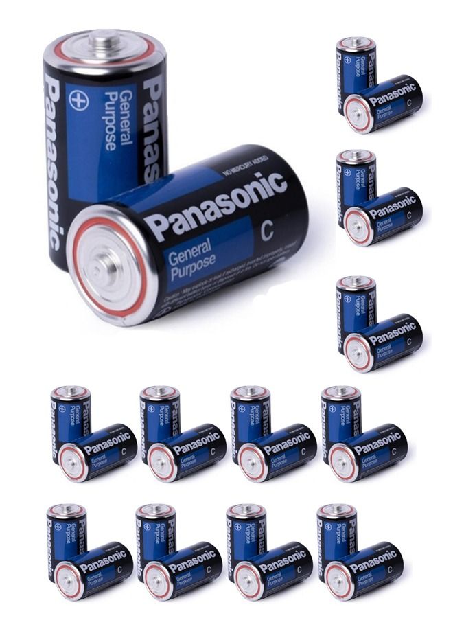 Panasonic 24 Pieces General Purpose C Batteries