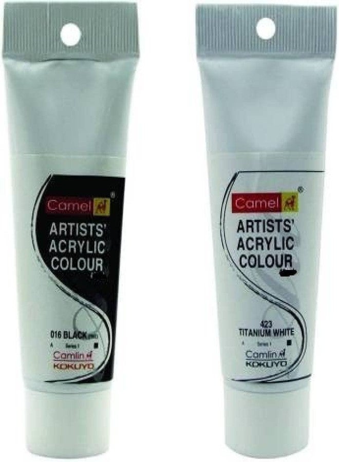 Camlin Artists Acrylic Colour Tubes (140ml) 016 Black 423 Titanium White (Monochromatic Colours)