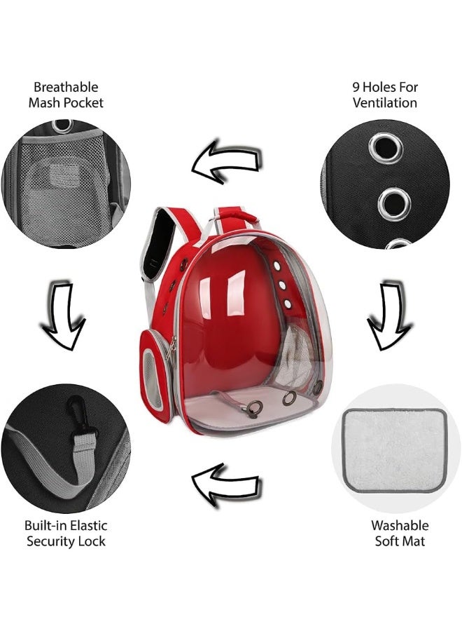 Neostyle NeoStyle Cat Carrier Bubble Bag, Transparent Breathable Capsule Backpack, Pet Convenient Carrier Bag for Small and Medium Cats Dogs. Hiking, outdoor use  - Image 3