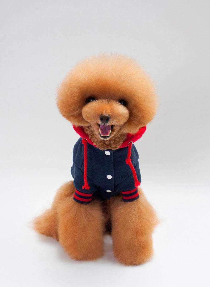 هودي للكلاب مع قبعة بألوان متعددة - Image 1