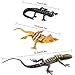 Gejoy 24 Piece Plastic Lizards for Kids Colorful Plastic Artificial Lizard Toys Action Figure Educational Toys for Kids Adults Gifts 12 Designs - Image 4