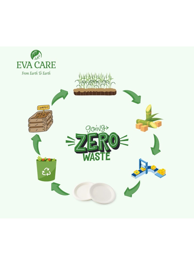 Eva Care 9" SQUARE 3 COMPARTMENT PLATES (BIODEGRADABLE, PACK OF 25)  - Image 5