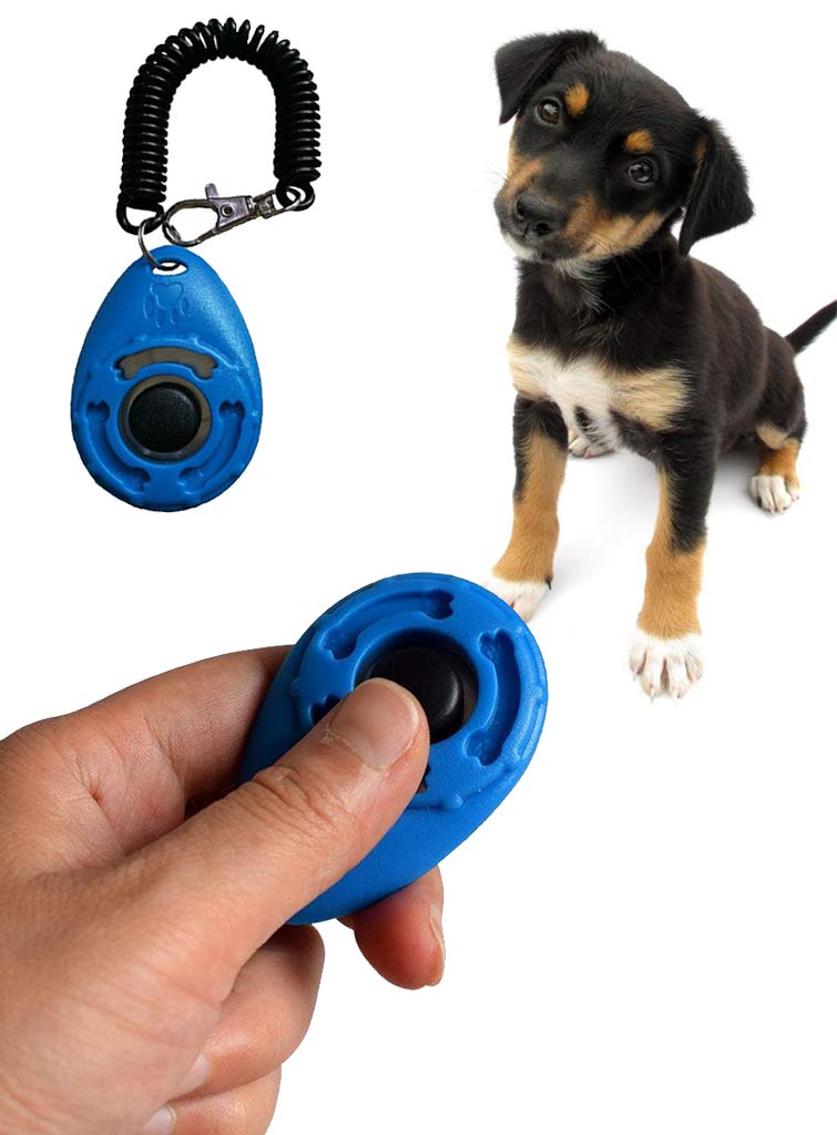 Sage Square Pet Training Clicker with Wrist Strap and Strap Hook for Dog/Cat/Kitten/Puppy/Bird (Blue) - Image 1
