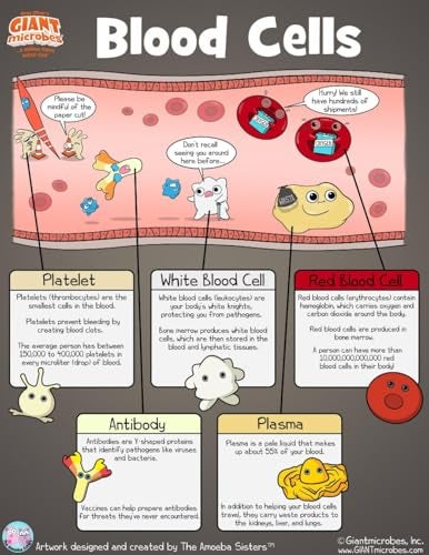 Giant Microbes GIANTmicrobes Platelet Plush, Blood Cell Plush, Blood Bank, Gifts for Lab Techs, Hematology, Phlebotomy Gifts, Phlebotomist Gift, Circulatory System, Immunology Gift, Lymphatic System - Image 5