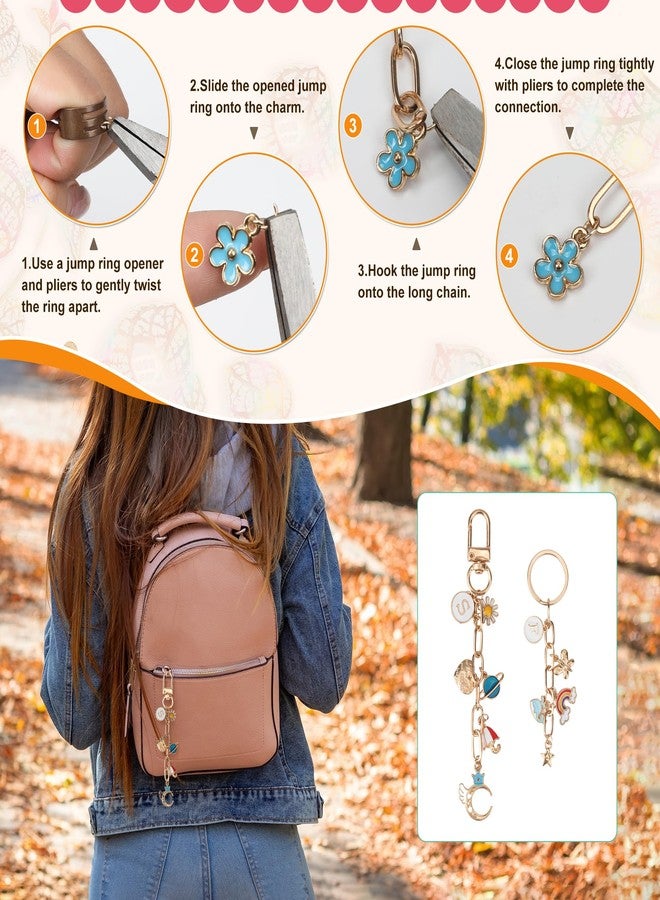 Starry 348Pcs Keychain Making Kit Bag Charm Kit 126 Charms 20 Keychain Clips with Key Ring Jewelry Plier,30 Extender Chain Swivel Snap Hooks Gold Charms 150 Jump Ring DIY Craft Supplies - Image 3