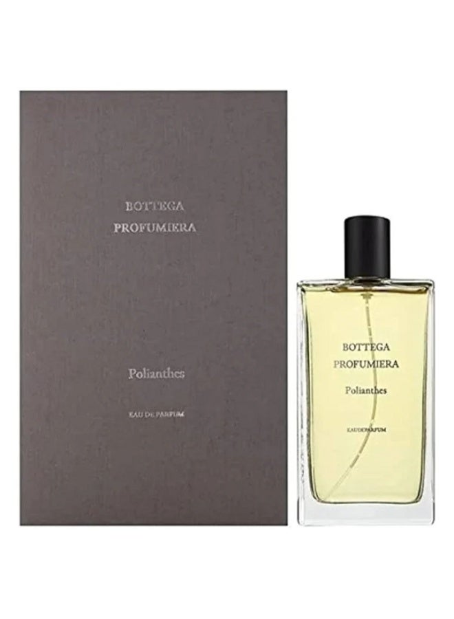 بوتيجا بوتيغا بروفومييرا بوليانثيس أو دو بارفان 100 مل 3.4 أونصة - Image 2