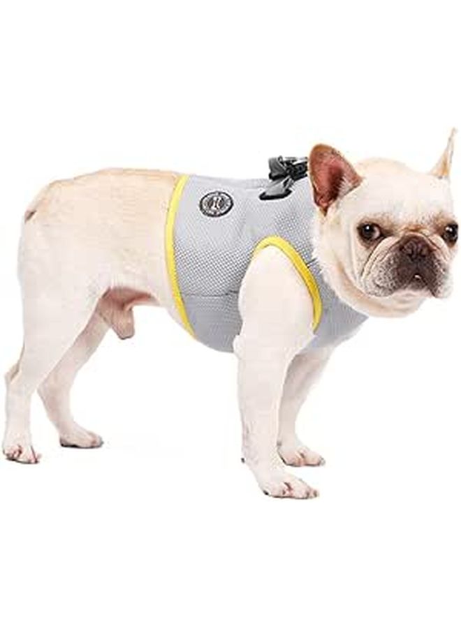 Summer Pet Cooling Harness Breathable Vest For Dogs Medium - Image 1