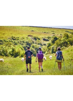 Marlborough and Savernake Forest  - Image 5