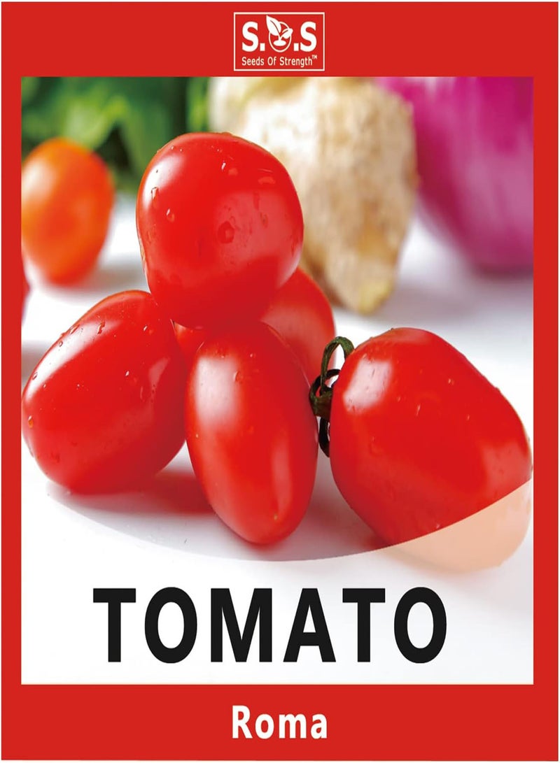GGOOT Tomatoes Gift Box Kit for Planting 5 Variety Pack Set, Beefsteak Tomato, Roma Tomato, Red Cherry Tomato, Jubilee Tomato, Purple Beatuy Tomato Seeds for Your Vegetable Garden (5 Var - Image 3