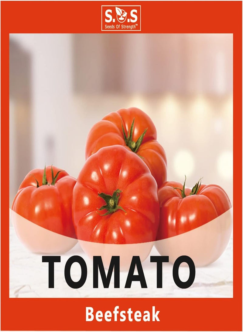 GGOOT Tomatoes Gift Box Kit for Planting 5 Variety Pack Set, Beefsteak Tomato, Roma Tomato, Red Cherry Tomato, Jubilee Tomato, Purple Beatuy Tomato Seeds for Your Vegetable Garden (5 Var - Image 5