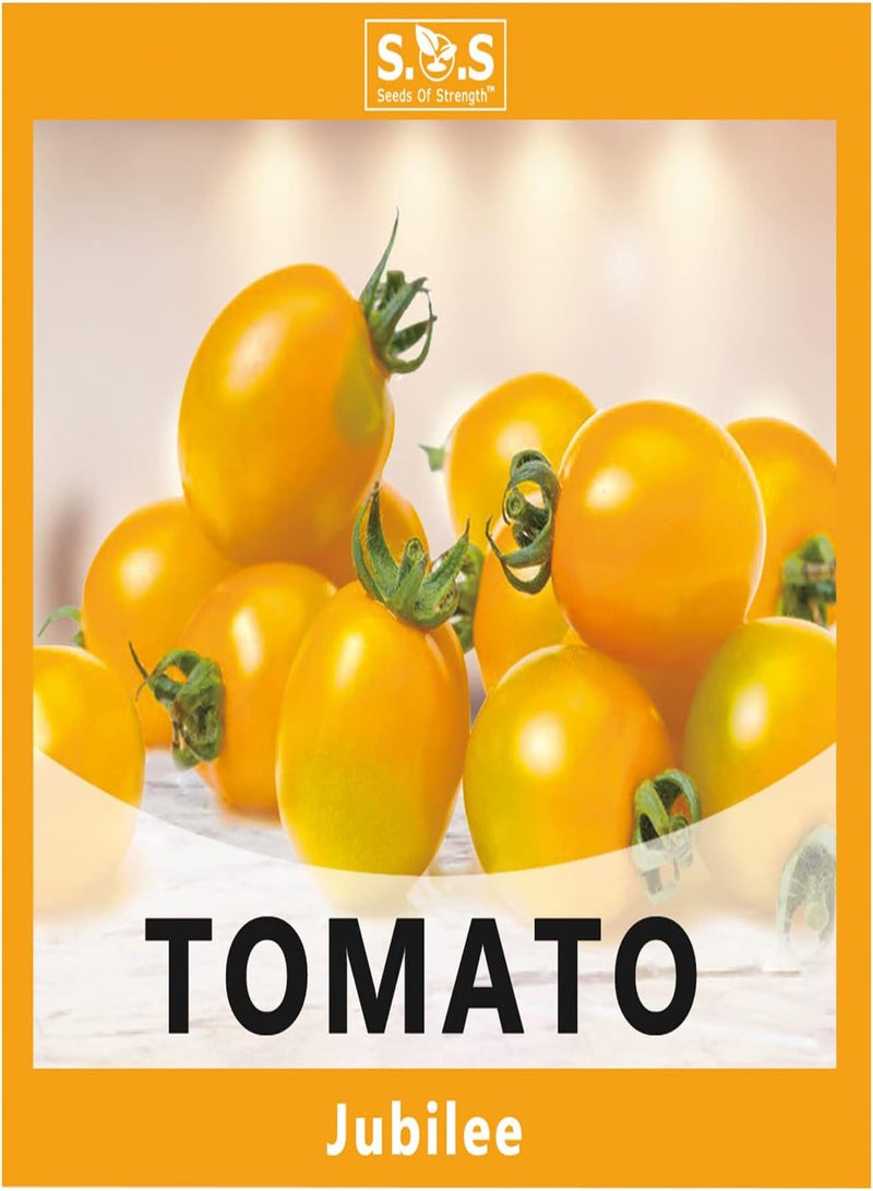 GGOOT Tomatoes Gift Box Kit for Planting 5 Variety Pack Set, Beefsteak Tomato, Roma Tomato, Red Cherry Tomato, Jubilee Tomato, Purple Beatuy Tomato Seeds for Your Vegetable Garden (5 Var - Image 4