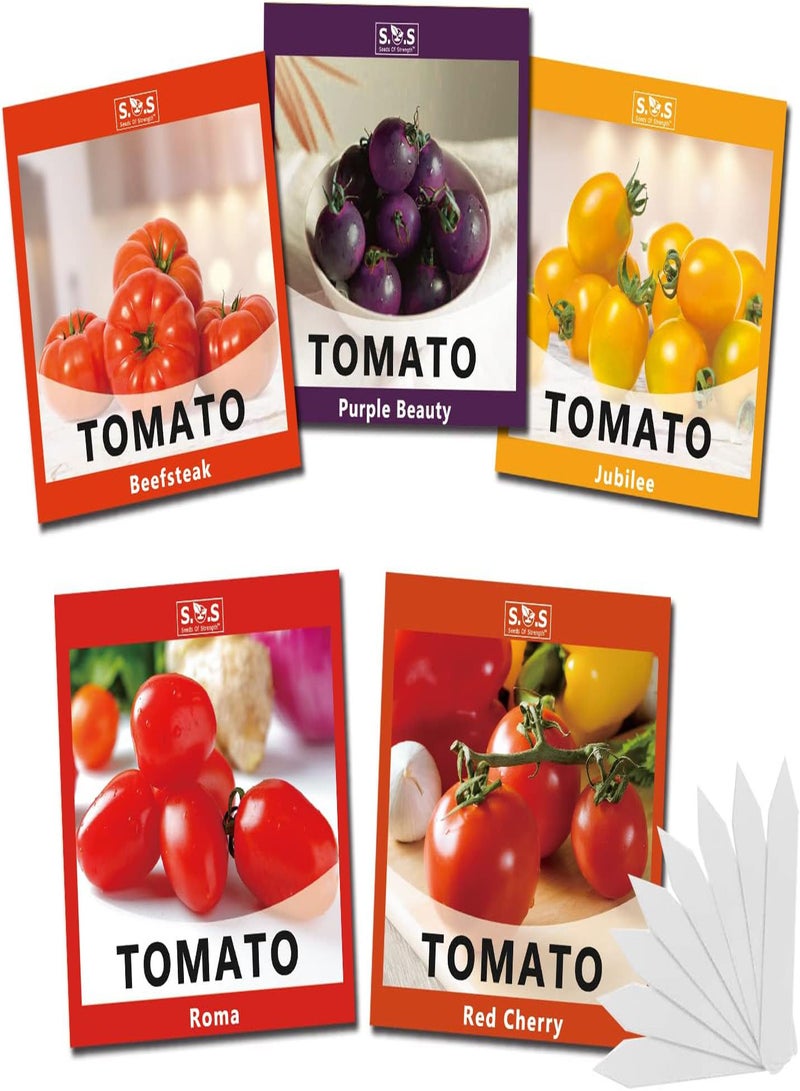 GGOOT Tomatoes Gift Box Kit for Planting 5 Variety Pack Set, Beefsteak Tomato, Roma Tomato, Red Cherry Tomato, Jubilee Tomato, Purple Beatuy Tomato Seeds for Your Vegetable Garden (5 Var - Image 2