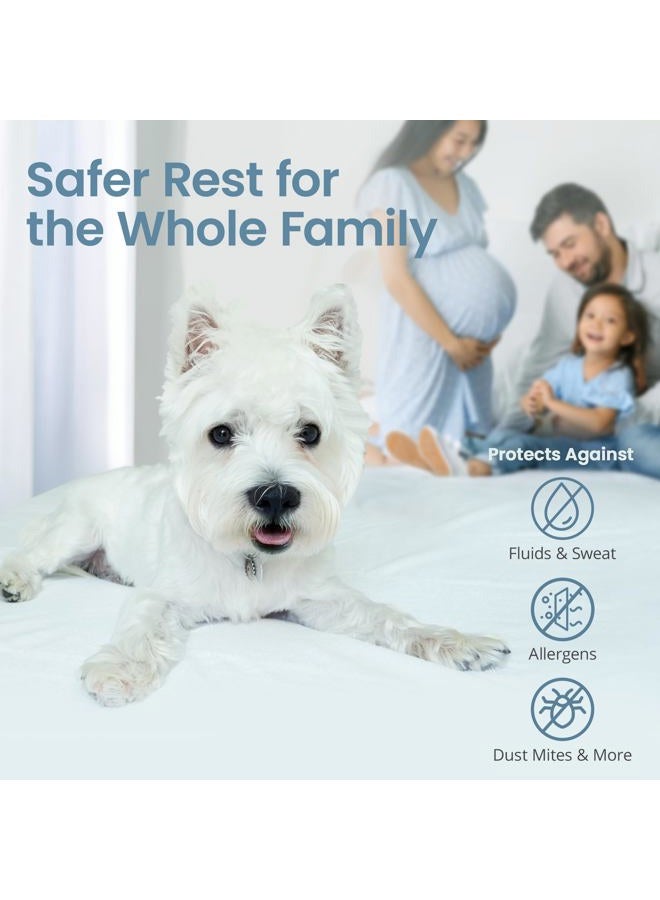 SafeRest 100% Waterproof Twin XL Size Mattress Protector - College Dorm Size for Back to School - Machine Washable Cotton Mattress Cover for Bed - Perfect Bedding Airbnb Essentials for Hosts - Image 5