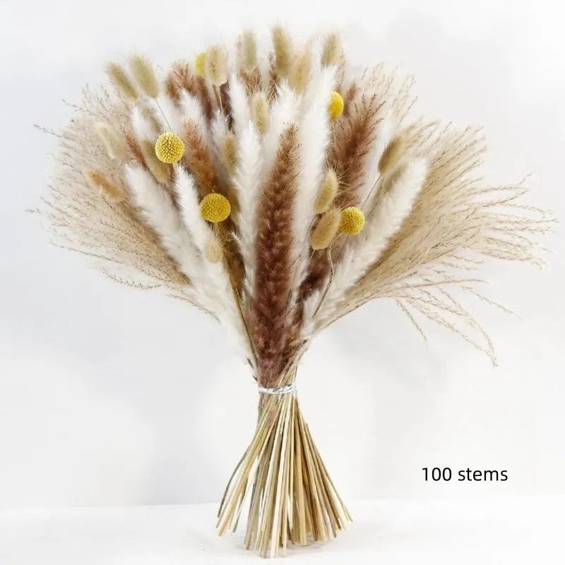 Bluejw E327 Dried Pampas Grass Bouquet – Natural Dried Flower Arrangement for Wedding Decor, Table Centerpiece & Home Decoration | Preserved Dried Plants for Rustic Chic Events - Image 3