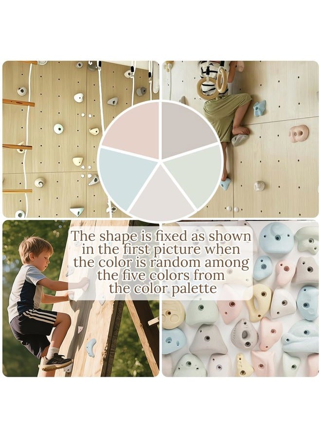 Qicrdvi 10 Pcs Resin Rock Climbing Holds for All Ages, Premium Large Training Rock Climbing Grips Indoor/Outdoor, Rock-Like Texture Holds for Your Climbing Wall - Image 5