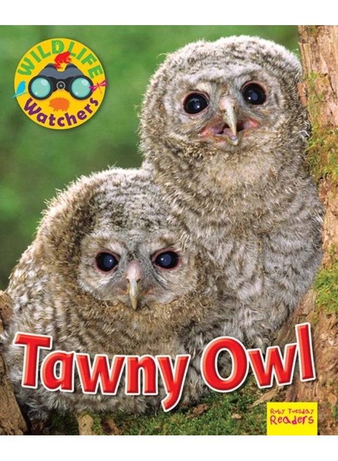 Wildlife Watchers Tawny Owl - Paperback