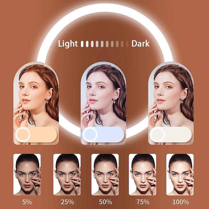MOYAWSDGN 10" Desk Ring Light with Tripod Stand, 3 Light Modes & 11 Brightness Level, Adjustable Selfie Phone Halo Light with Cell Phone Holder for Video Recording, Makeup, Computer Laptop Zoom Meeting - Image 3