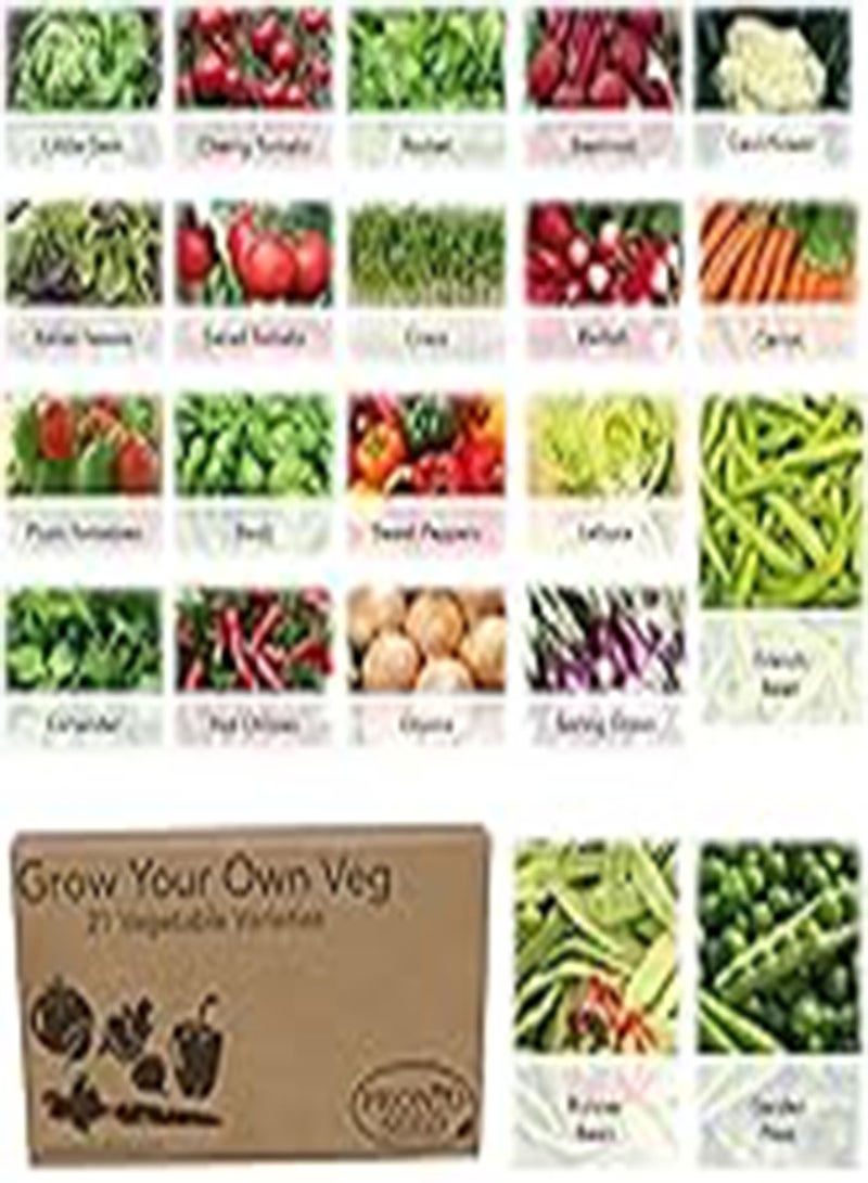 GGOOT - Sweet William Special Mixed Seeds 950 (1g Approx.) Flower Seeds - Hardy Biennial