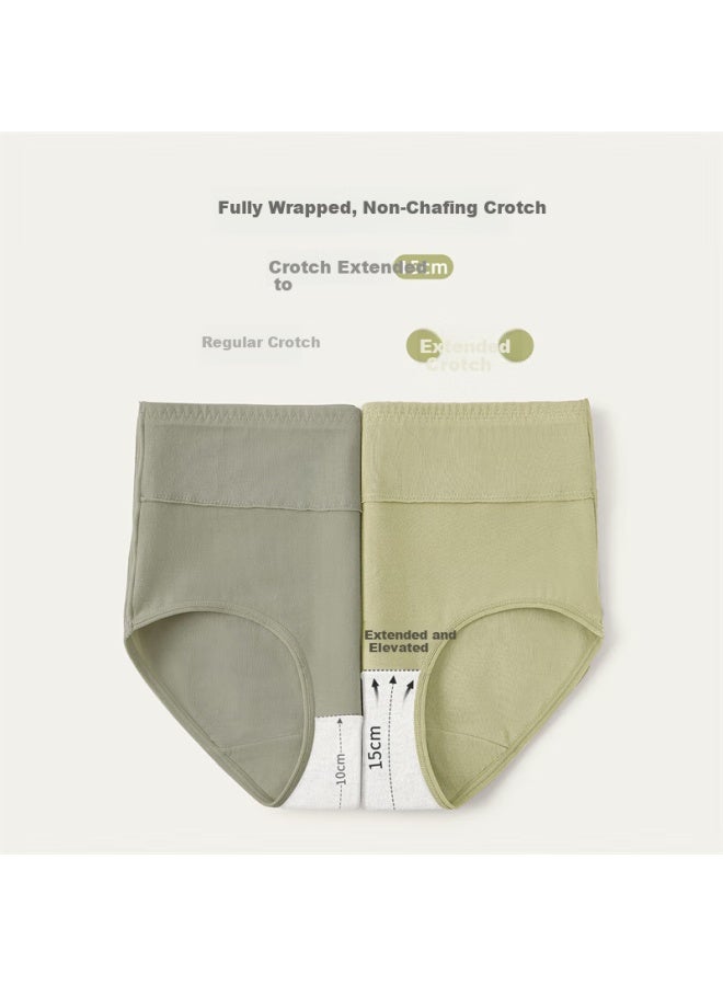 Youngyell Women's Cotton Antibacterial High Waist Plus Size 200 Pounds Micro Shaping Hip Lifting Mom Summer Shorts 4-pack - Image 2