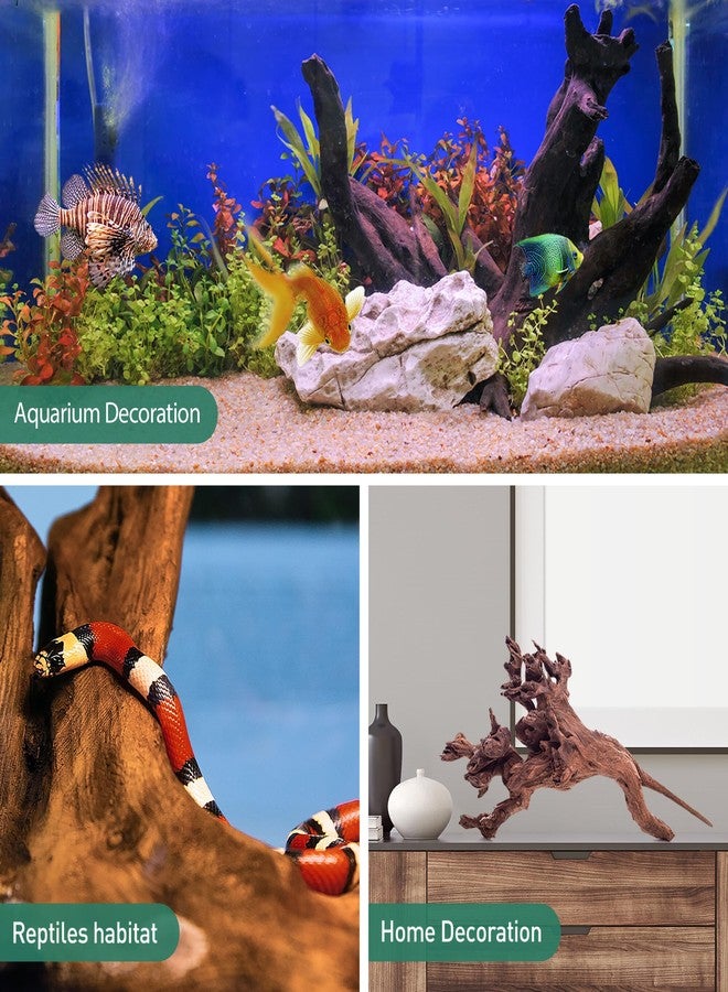 WDEFUN Natural Driftwood for Aquarium Decor, 1-Piece 13''-17'' Large Driftwood for Decorations on Fish Tank, Reptiles Bearded Dragon Accessories or Air Plants - Image 3