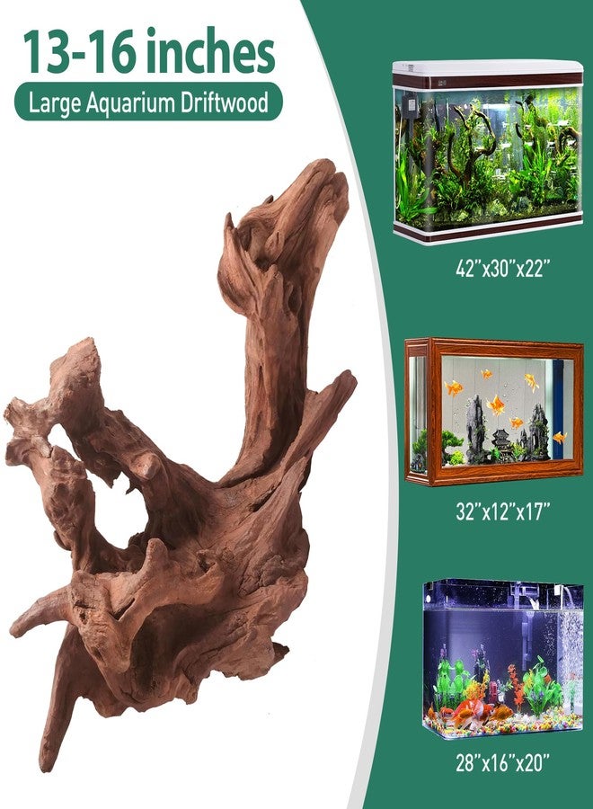 WDEFUN Natural Driftwood for Aquarium Decor, 1-Piece 13''-17'' Large Driftwood for Decorations on Fish Tank, Reptiles Bearded Dragon Accessories or Air Plants - Image 2