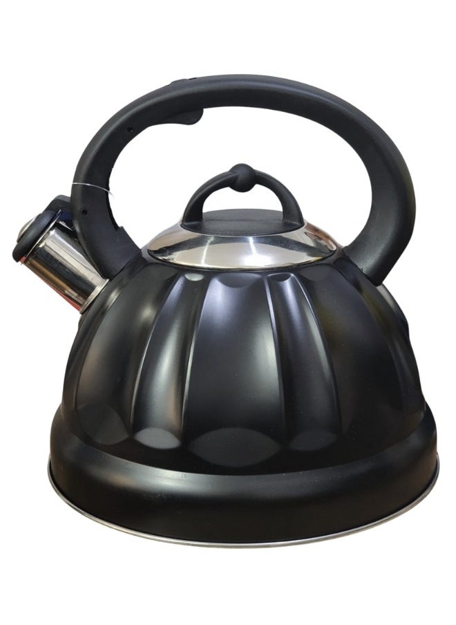 3L Stainless Steel Kettle with Whistle - Black - pzsku/Z4B87AE9969C5F52F80DDZ/45/_/1737463288/2b6cf2d6-0fed-4cf5-8053-66b48db4e26f