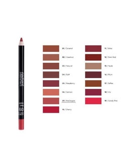 RADIANT PROFESSIONAL MAKE UP / HELLENICA Radiant Professional Softline Waterproof Lip Pencil Non Transfer Long Lasting Lip Liner For Defined Lips Ultra Creamy & Soft Lip Pencil With Vitamin E 1.20G (01 Caramel)  - Image 3