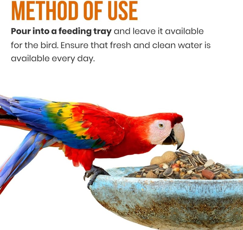 BRANDSFINITY Premium Bird Feed For Parrots (1.2kg) - Image 5