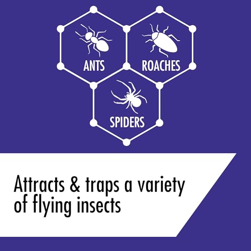 STEM Kills Ants, Roaches And Spiders: Plant-Based Active Ingredient Bug Spray, Botanical Insecticide For Indoor And Outdoor Use; 10 fl oz (Pack Of 1) - Image 2