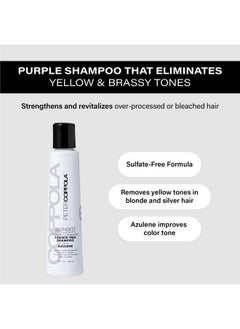 Peter Coppola PETER COPPOLA Purple Shampoo for Blonde Hair - Sulfate-Free Eliminates Brassy Yellow Tones - Strengthens Processed and Dry Hair - Keratin Protein - For Daily Use (3 Fl Oz)  - Image 2
