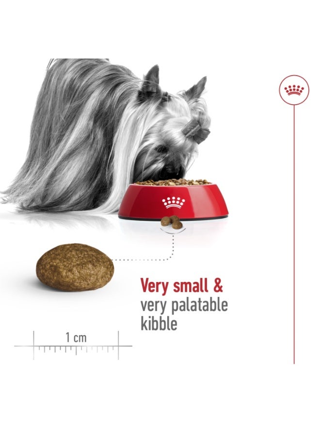 رويال كانين حجم التغذية الصحية XS للبالغين 1.5 كجم - Image 4