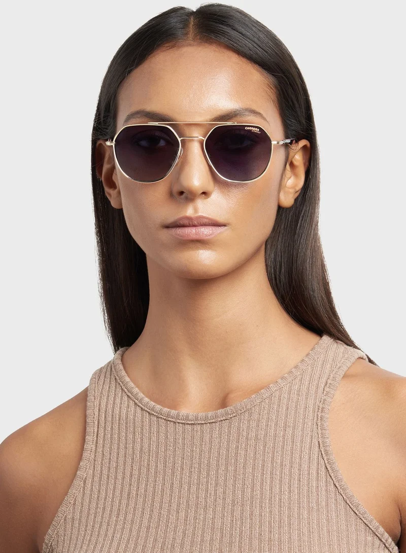 Carrera  Wayfarers Sunglasses  | Best Price UAE