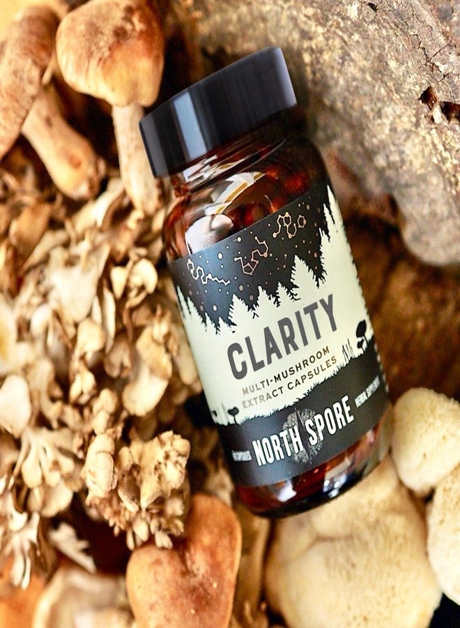 North Spore كبسولات فطر نورث سبور العضوية عالية الفعالية | مكمل غذائي من فطر عرف الأسد، والريشي، والكورديسيبس | يعزز التركيز، والذاكرة، والحيوية، والوظائف الإدراكية | مزيج مستخلص عضوي نقي - 60 كبسولة - Image 2