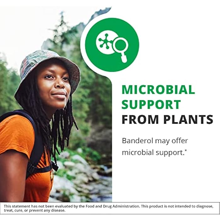NutraMedix Daily Immune Support Supplement - Banderol Herbal Supplements for Immune System Support - Vegan Tincture - Bioavailable Otoba Bark Extract Liquid Drops (1 oz/30 ml) - Image 3