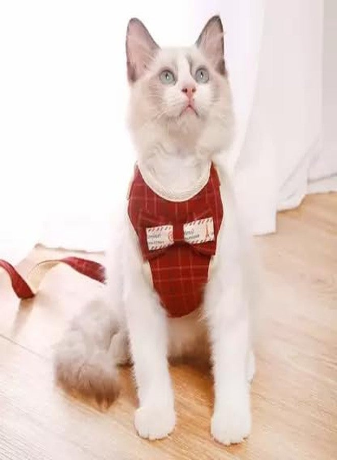 Pets Empire Puppy Harness and Leash Set No Pulling Plaid Walking Harness Adjustable Mesh Dog Harness with Bow Pet Comfort Padded Vest for Small Dogs and Cats (Small (Fit Weight 1-3 kg)) - Image 1