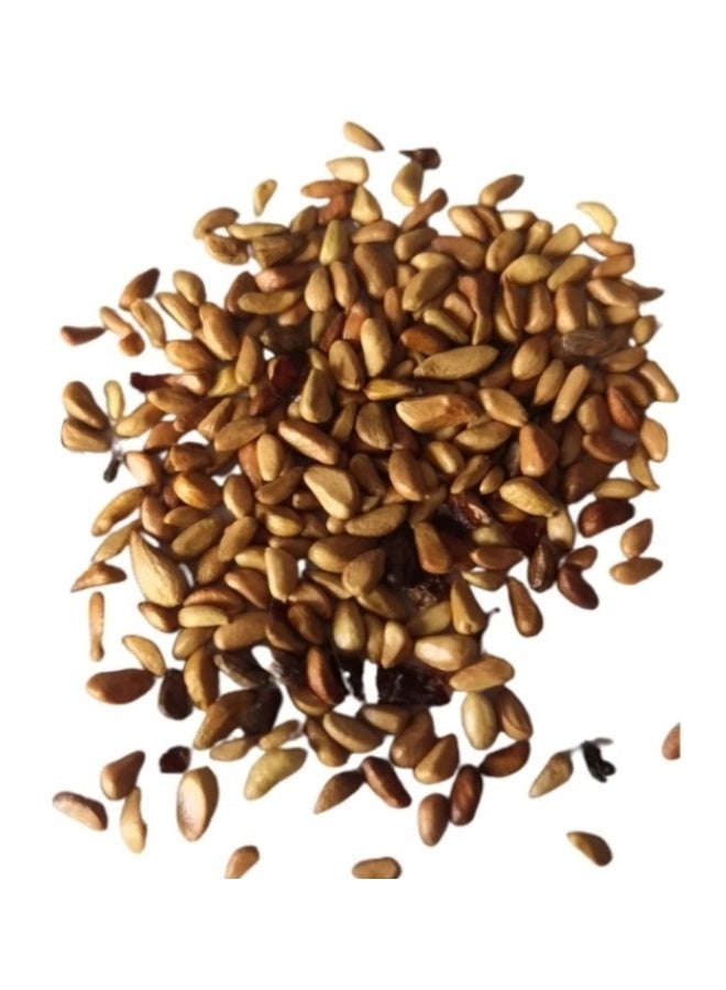 43℃ 500Pcs Climbing Rose Seeds Red Color For Garden Planting - Image 2