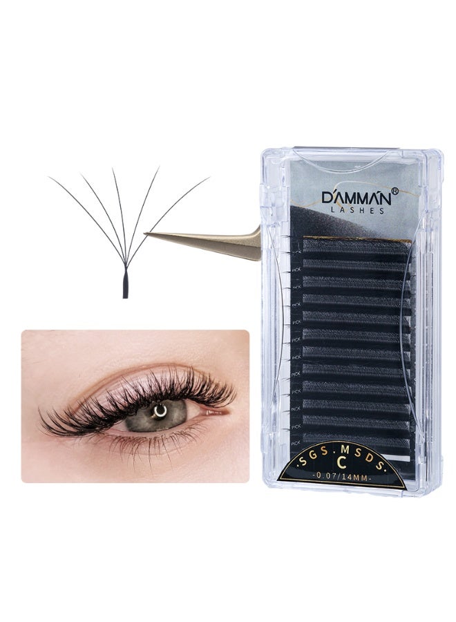 D'AMMA'N Damman 5D W-Shape Eyelash Extensions – D Curl, Soft Natural Volume, 8–15mm Mixed Length - Image 1