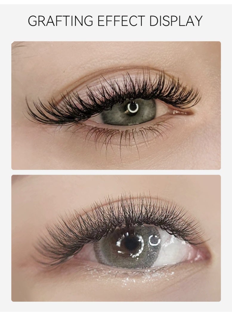 D'AMMA'N Damman 5D W-Shape Eyelash Extensions – D Curl, Soft Natural Volume, 8–15mm Mixed Length - Image 5