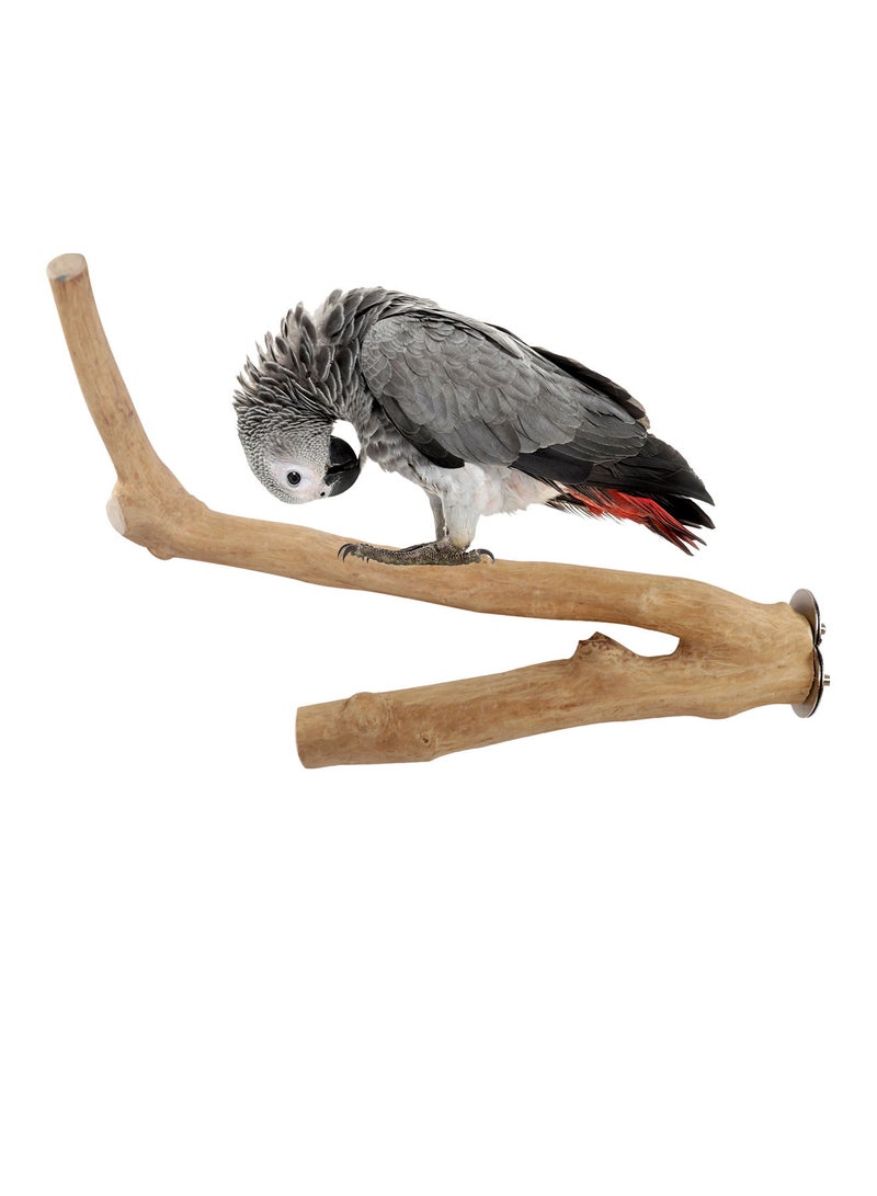 CHEWY BEAK Birds wooden perch solid java wood stick for cockatoo parrots and african grey parrots suitable for all bird cages - Image 1