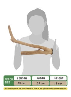 CHEWY BEAK Birds wooden perch solid java wood stick for cockatoo parrots and african grey parrots suitable for all bird cages  - Image 2