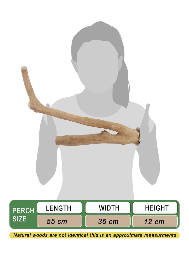 CHEWY BEAK Birds wooden perch solid java wood stick for cockatoo parrots and african grey parrots suitable for all bird cages - Image 2
