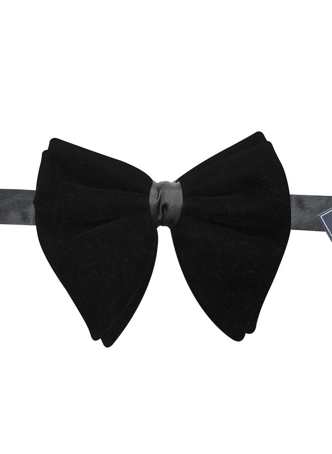 Peluche PELUCHE Solid Essentials Mini Butterfly Black Velvet Bow Tie  - Image 5