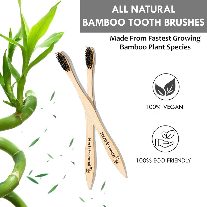 Herb Essential Bamboo Toothbrush, Pack of 2 | with Ultra-Soft Charcoal activated Bristles | Natural, Biodegradable and Ecofriendly Toothbrush - Image 4
