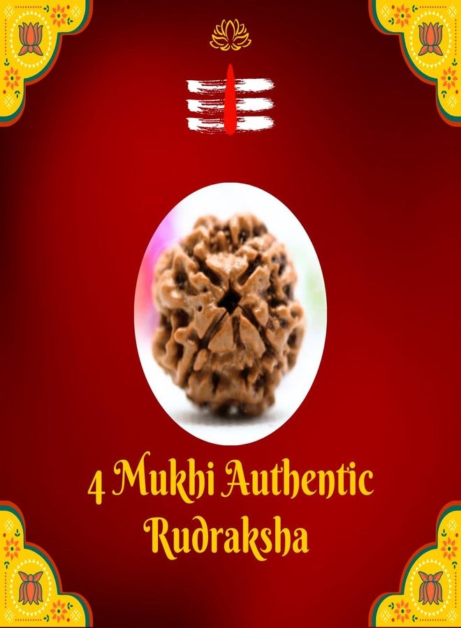 PICCOTI Original 4 Mukhi Nepali Rudraksha Locket | Rudraksha Pendant with Silver Plated Caps for Lord Shiva Blessings | 4 mukhi/faces - Image 3