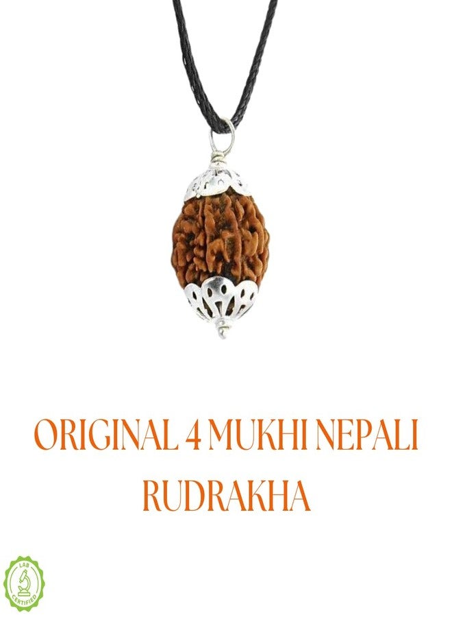 PICCOTI Original 4 Mukhi Nepali Rudraksha Locket | Rudraksha Pendant with Silver Plated Caps for Lord Shiva Blessings | 4 mukhi/faces - Image 2